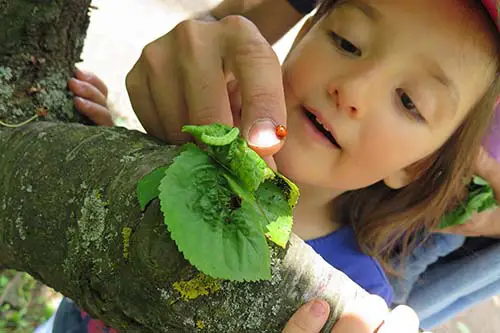 Drømmen om en bedre verden